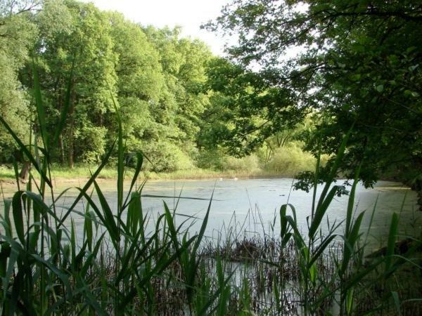Ferienhaus Bindow Heidesee Екстериор снимка